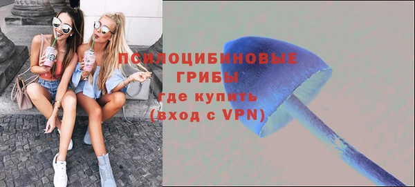 скорость Богданович