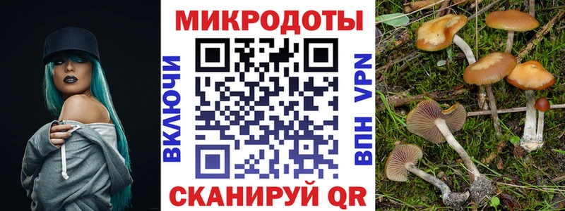 Псилоцибиновые грибы ЛСД  Берёзовка 